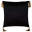 Roxanne Square Pillow Cover & Insert