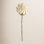 Dahlia Floral Stems