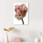 Droplet Tulip II Print by Oliver Gal-321083687-321083705