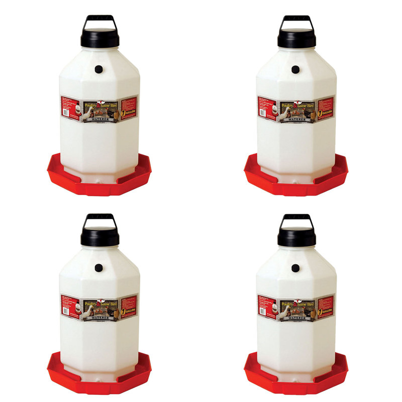 Plastic 7 Gallons Waterer