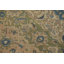 Tapis en laine vieilli 7 x 10