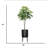 76 " H Faux Tree in Resin Pot