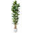 Adcock  Artificial Fiddle Leaf Fig Tree with Realistic Leaves and Natural Trunk, Potted Tree-212896211