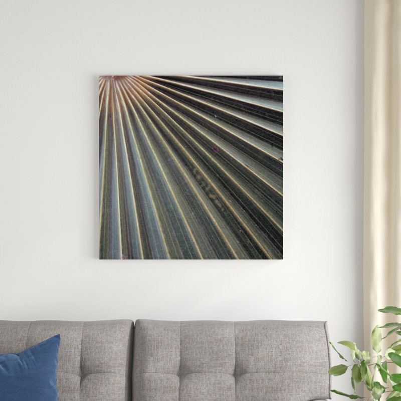 " Organic Elements VI " by Vision Studio, 30" H x 30" W x 1.25" D