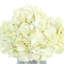 Hydrangeas Arranged in Ceramic Vase-132254124
