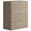Marlyne 35.43cm W 4 - Drawer Chest of Drawers-1489997805