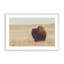 Prairie Bisons, ensemble de 2 impressions-804200526-804200528