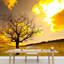 Canyon Home Decor-93997437