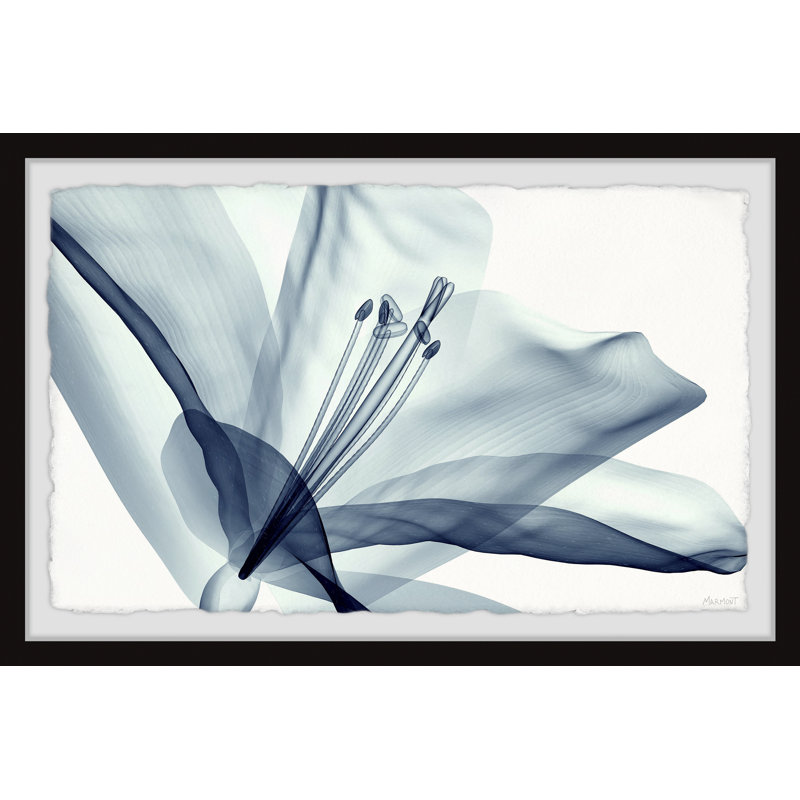 Spread Your Love by Marmont Hill - Single Picture Frame Painting, 20cm H x 30cm W