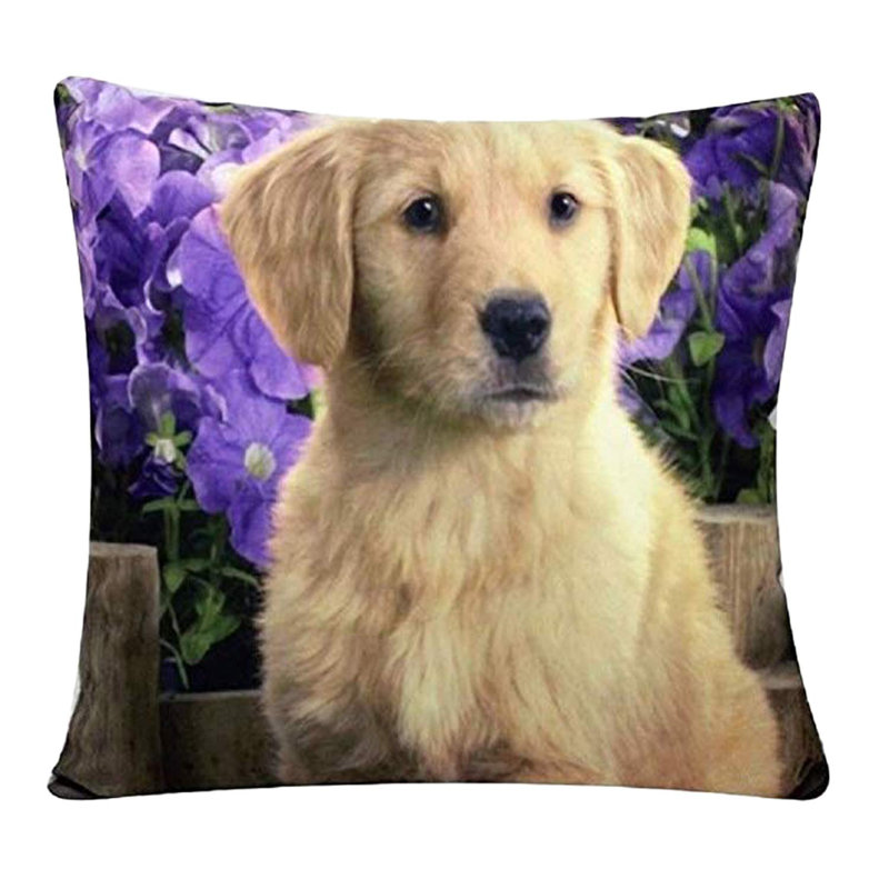 Diederick Square Cushion Cover
