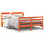 Storage Bed-1264889431