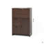 Armoire de bureau multifonctionnelle avec bureau pliable et grand rangement