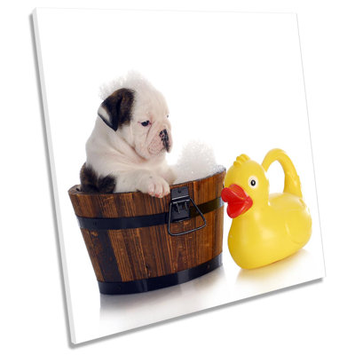 Z1551 British Bulldog Puppy Bathroom - Wrapped Canvas Painting