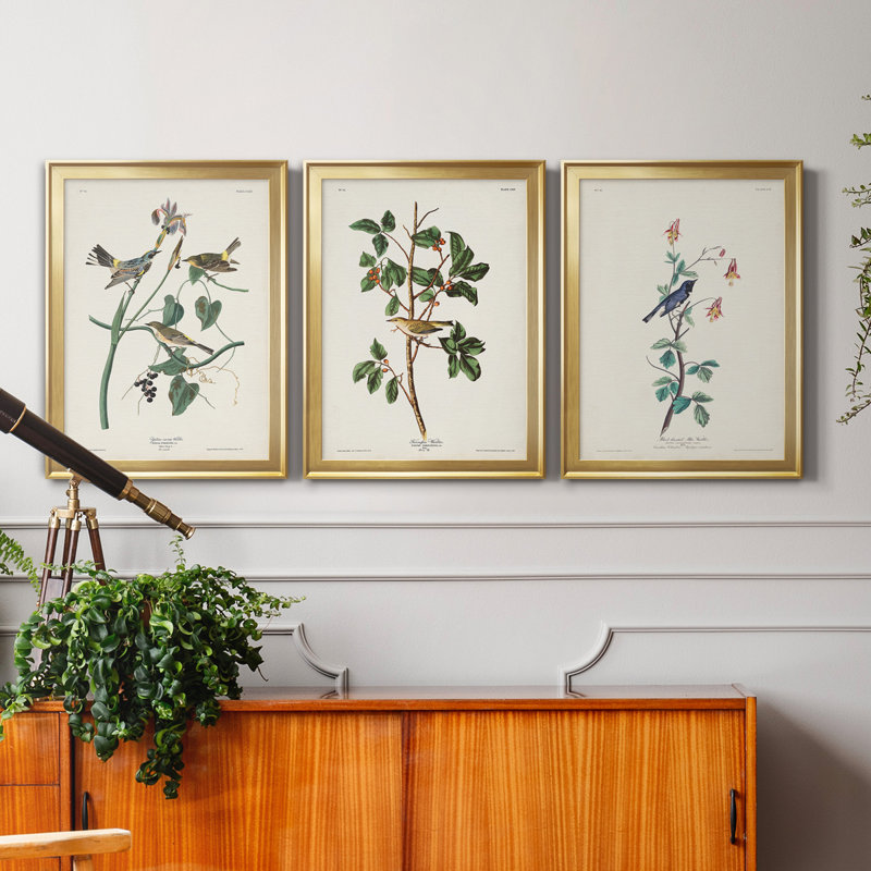 Pl. «153 Yellow-Rump Warbler», ensemble de 3 impressions sur toile encadrées, H 30,5 po x l 172,5 po x P 1,5 po, Doré