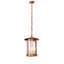 Rustic Lodge 1 - Light Pendant