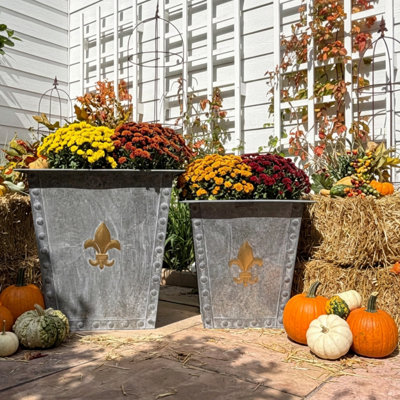 Large French Country Fleur Di Lise Planters, Set of 2
