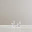 Windham Tasting Glass