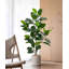 Décoration d'hévéa verte