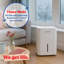 Russell Hobbs® 10L Dehumidifier-126056642