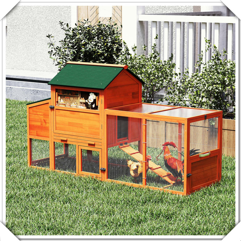 Cage à poules portative mobile