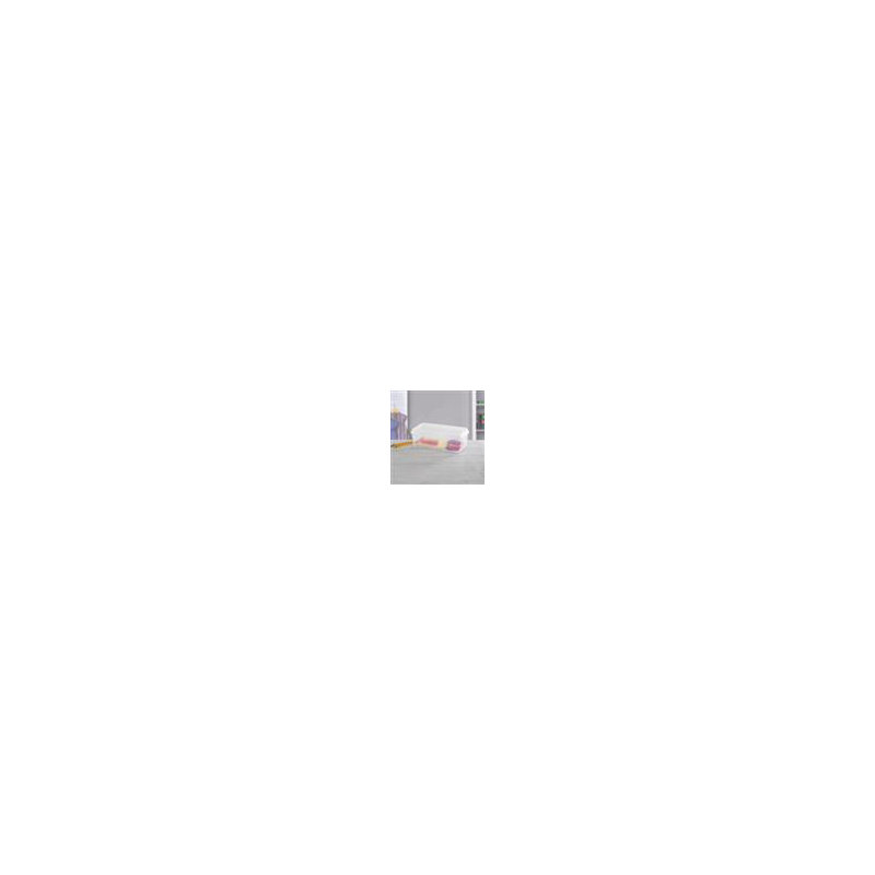 Sterilite Crate