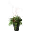 Valencia Composite Pot Planter-1862469289