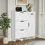 Armoire à chaussures blanche avec 4 portes et 1 tiroir
