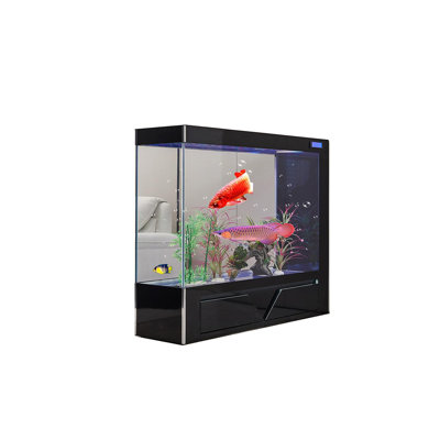 Aquarium 39,37 po en verre transparent noir avec filtration latérale