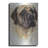 " Mastiff " by Barbara Keith-4757526