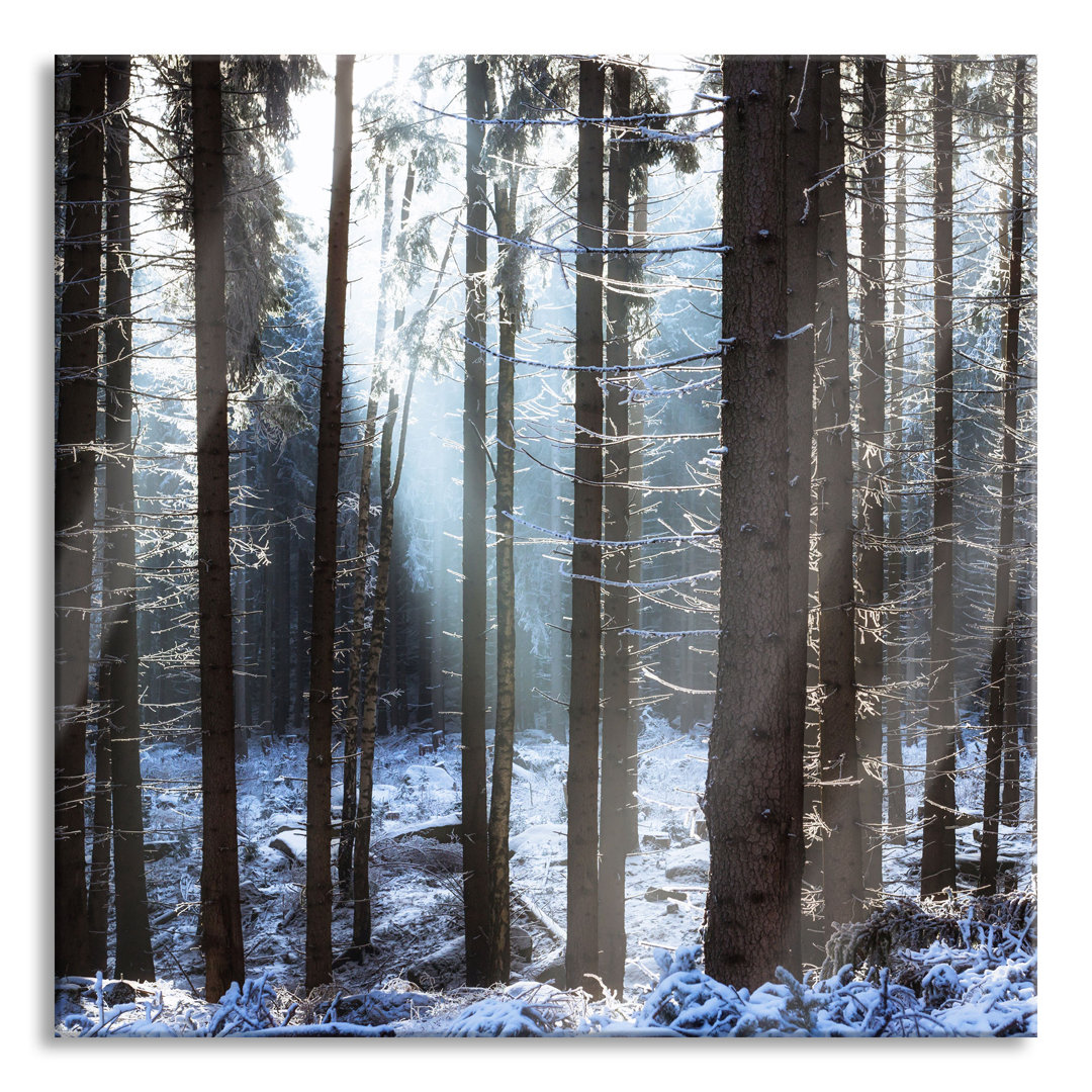 Glasbild Winterwald