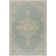 Donivin Performance Oriental Indoor/Outdoor Area Rug