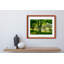 Summer Rain Print by Joseph Regan-66910841-66910842