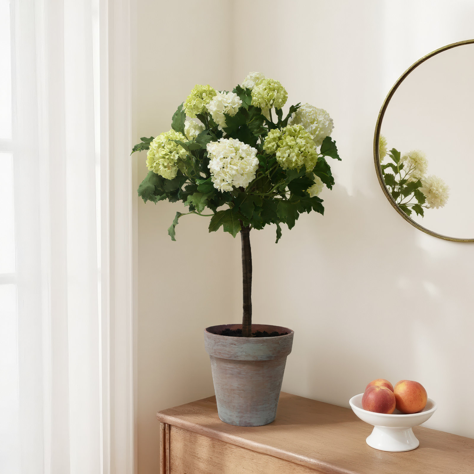 Snowball In Pot