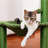 Daaron 36.8'' H Cat Tree