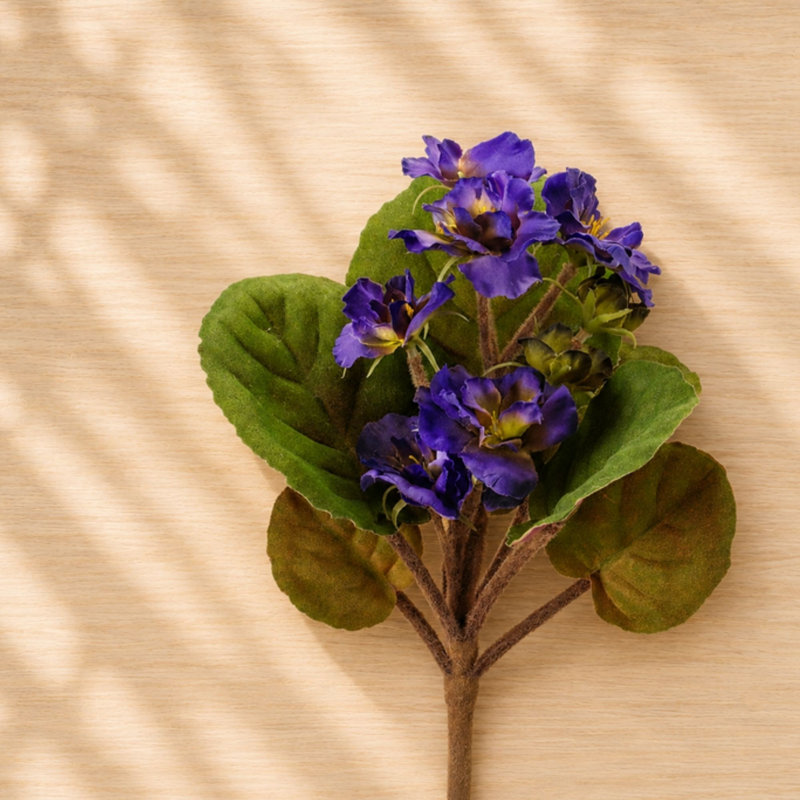 Bouquet de fleurs d'Afrique (ensemble de 4), Mauve, vert