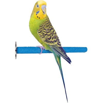 Bird-Life 7 Inch Cement Trimmer Bird Perch