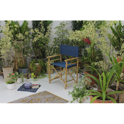 Laseter Folding Director Chair