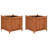 Raised Beds 19.7" x 19.7" x 19.7" Firwood