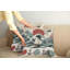 Ensemble de 2 housses de coussin Ambesonne-99020577-99020576