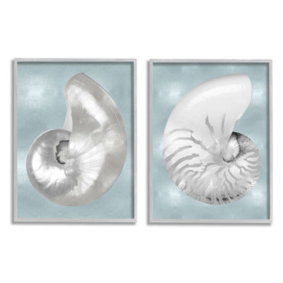 " Minimal Nautilus Shell " by Caroline Kelly 2 - Pieces