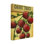«Ayluardo Seed Packets 06 - Cherry Tomato On Canvas» par Debbi Wetzel, reproduction