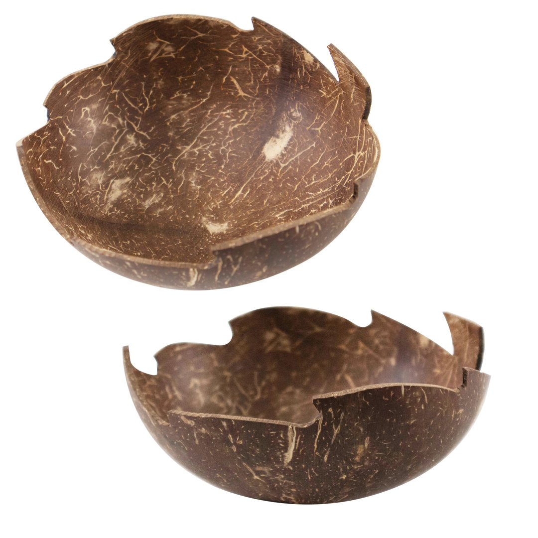 Bay Isle Home Derri Coconut Shell Serving Bowl