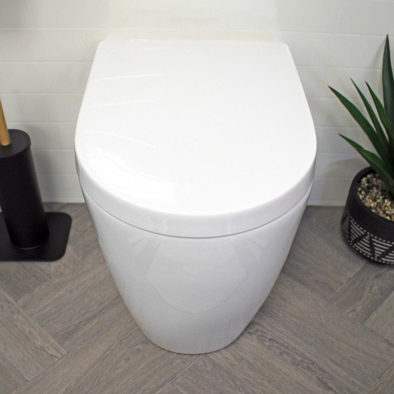 Hilldale D Shaped Toilet Seat White