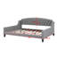 Lit de jour Modern Luxury-960692824
