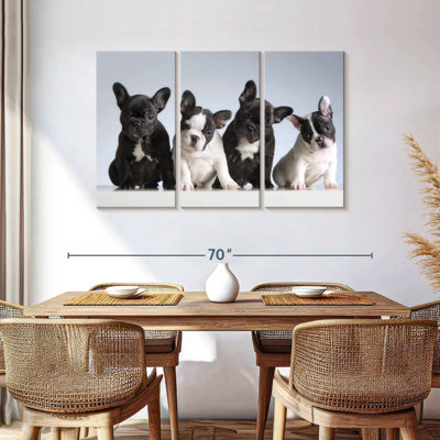 Chiots bouledogue français Brampt