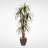 72'' Faux Yucca Tree in Metal Planter