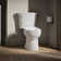 1.28 GPF Water Efficient Elongated Two-Piece toilet (Seat Not Included)