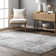 Salters Moroccan Gray Area Rug