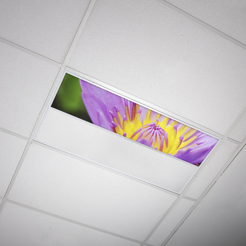 Flower Rectangle Fixture Component Ceiling Light