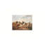«Farmyard Fowl», toile murale sans cadre 12 po x 16 po